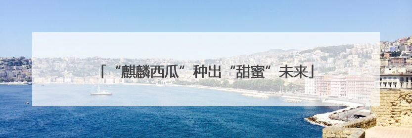 “麒麟西瓜”种出“甜蜜”未来