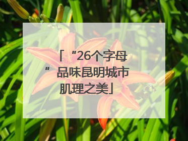 “26个字母”品味昆明城市肌理之美