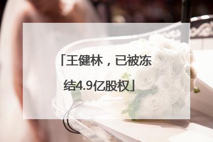 王健林，已被冻结4.9亿股权