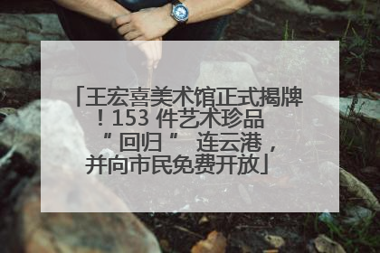 王宏喜美术馆正式揭牌！153 件艺术珍品 “ 回归 ” 连云港，并向市民免费开放