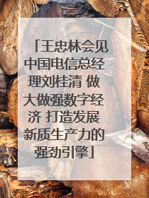 王忠林会见中国电信总经理刘桂清 做大做强数字经济 打造发展新质生产力的强劲引擎