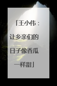 王小伟：让乡亲们的日子像香瓜一样甜