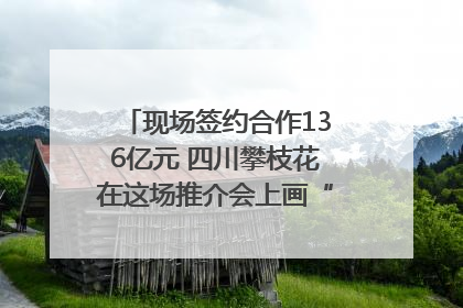 现场签约合作136亿元 四川攀枝花在这场推介会上画“图谱”列“清单”
