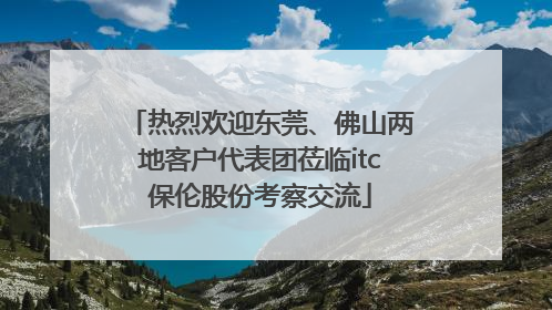 热烈欢迎东莞、佛山两地客户代表团莅临itc保伦股份考察交流