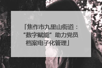 焦作市九里山街道：“数字赋能”助力党员档案电子化管理