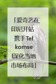 爱奇艺在印尼开站 携手Telkomsel深化当地市场布局