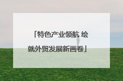 特色产业领航 绘就外贸发展新画卷