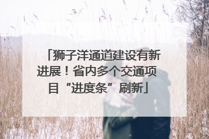 狮子洋通道建设有新进展！省内多个交通项目“进度条”刷新
