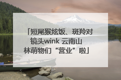 短尾猴炫饭、斑羚对镜头wink 云南山林萌物们“营业”啦