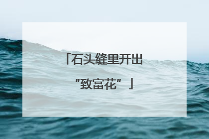 石头缝里开出“致富花”