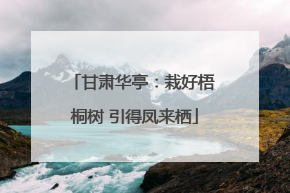 甘肃华亭：栽好梧桐树 引得凤来栖