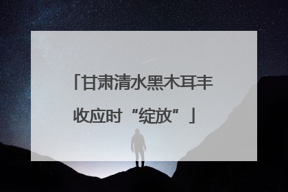 甘肃清水黑木耳丰收应时“绽放”