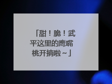 甜！脆！武平这里的鹰嘴桃开摘啦～