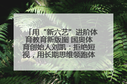 用“新六艺”进阶体育教育新版图 国奥体育创始人刘凯：拒绝短视，用长期思维领跑体育产业细分赛道
