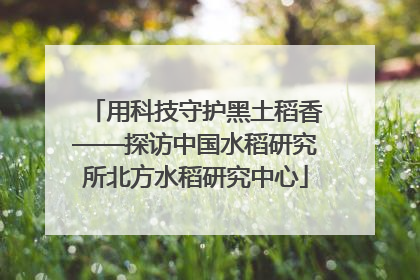 用科技守护黑土稻香——探访中国水稻研究所北方水稻研究中心