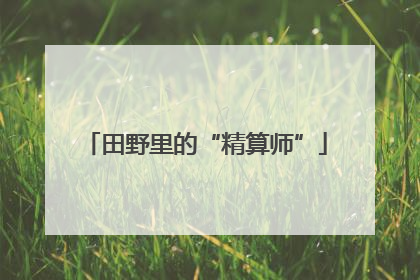 田野里的“精算师”
