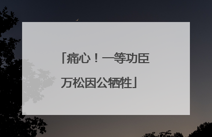痛心！一等功臣万松因公牺牲