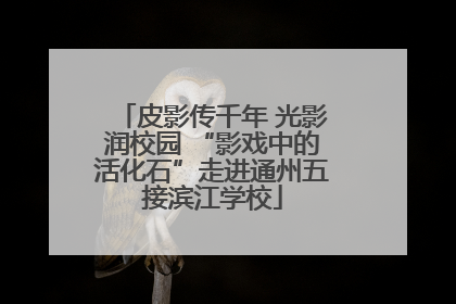皮影传千年 光影润校园 “影戏中的活化石”走进通州五接滨江学校