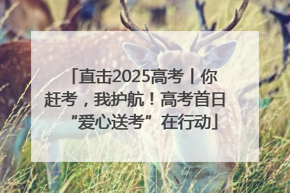 直击2025高考丨你赶考，我护航！高考首日“爱心送考”在行动