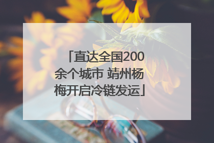 直达全国200余个城市 靖州杨梅开启冷链发运