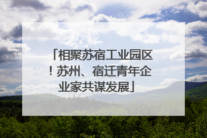 相聚苏宿工业园区！苏州、宿迁青年企业家共谋发展