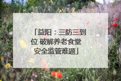 益阳：三防三到位 破解养老食堂安全监管难题