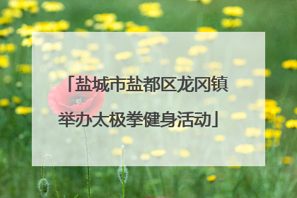 盐城市盐都区龙冈镇举办太极拳健身活动