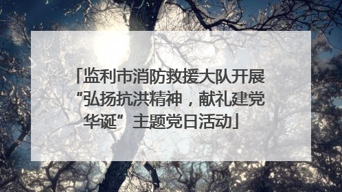 监利市消防救援大队开展“弘扬抗洪精神，献礼建党华诞”主题党日活动
