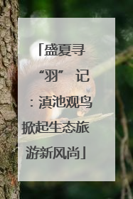 盛夏寻 “羽” 记：滇池观鸟掀起生态旅游新风尚