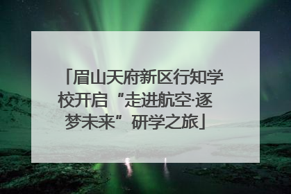 眉山天府新区行知学校开启“走进航空·逐梦未来”研学之旅