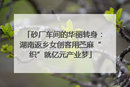 砂厂车间的华丽转身：湖南返乡女创客用苎麻“织”就亿元产业梦