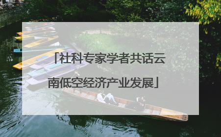 社科专家学者共话云南低空经济产业发展