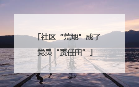 社区“荒地”成了党员“责任田”