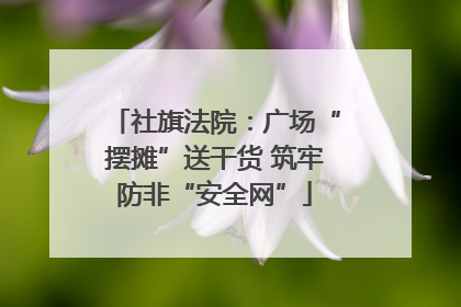 社旗法院：广场“摆摊”送干货 筑牢防非“安全网”