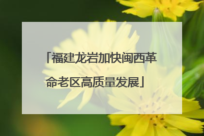 福建龙岩加快闽西革命老区高质量发展