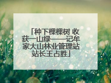 种下棵棵树 收获一山绿——记牟家大山林业管理站站长王占胜