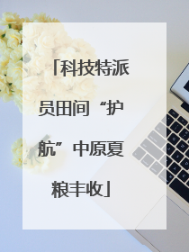 科技特派员田间“护航”中原夏粮丰收