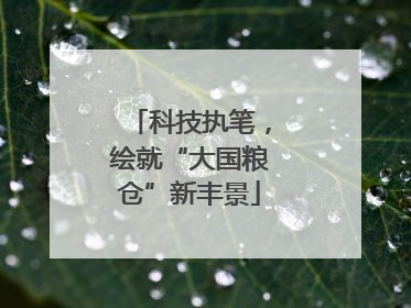 科技执笔，绘就“大国粮仓”新丰景