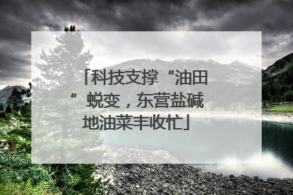 科技支撑“油田”蜕变，东营盐碱地油菜丰收忙
