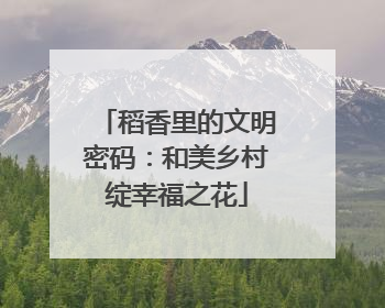 稻香里的文明密码：和美乡村绽幸福之花