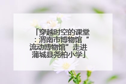 穿越时空的课堂：渭南市博物馆“流动博物馆”走进蒲城县尧柏小学