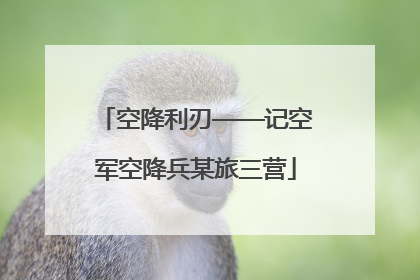 空降利刃——记空军空降兵某旅三营
