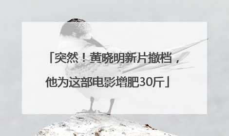 突然！黄晓明新片撤档，他为这部电影增肥30斤