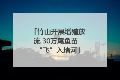 竹山开展增殖放流 30万尾鱼苗“飞”入堵河