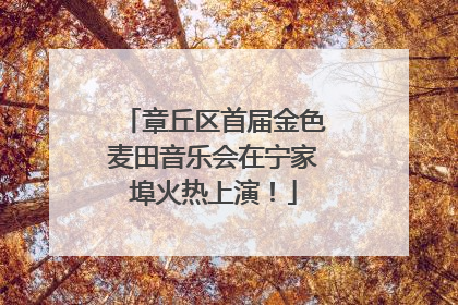 章丘区首届金色麦田音乐会在宁家埠火热上演！