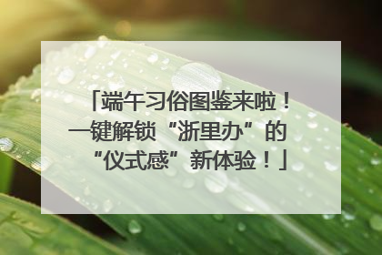 端午习俗图鉴来啦！一键解锁“浙里办”的“仪式感”新体验！