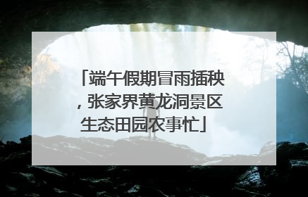 端午假期冒雨插秧，张家界黄龙洞景区生态田园农事忙