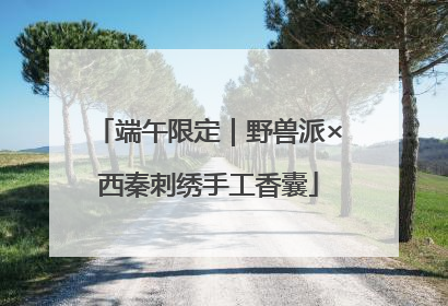 端午限定｜野兽派×西秦刺绣手工香囊
