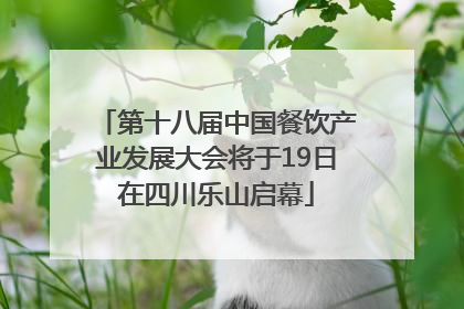 第十八届中国餐饮产业发展大会将于19日在四川乐山启幕