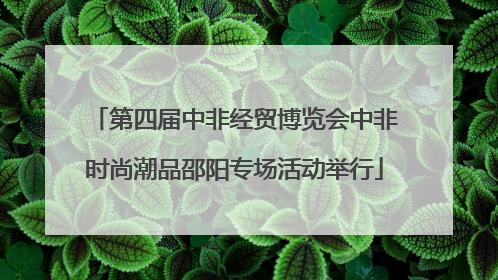 第四届中非经贸博览会中非时尚潮品邵阳专场活动举行